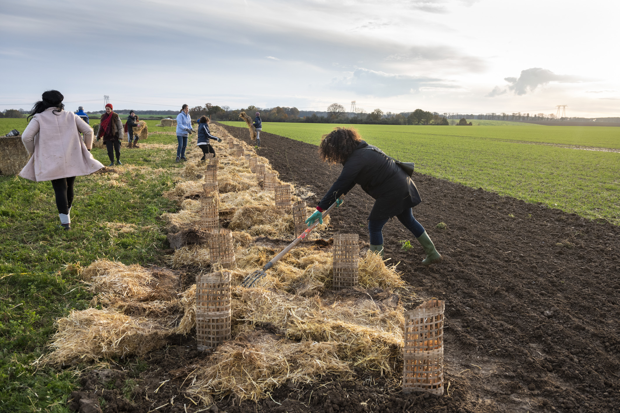 Alternatives économes et résilentes à la plantation de haies pour démultiplier les infrastructures agroécologiques dans les agrosystèmes (Projet Casdar)