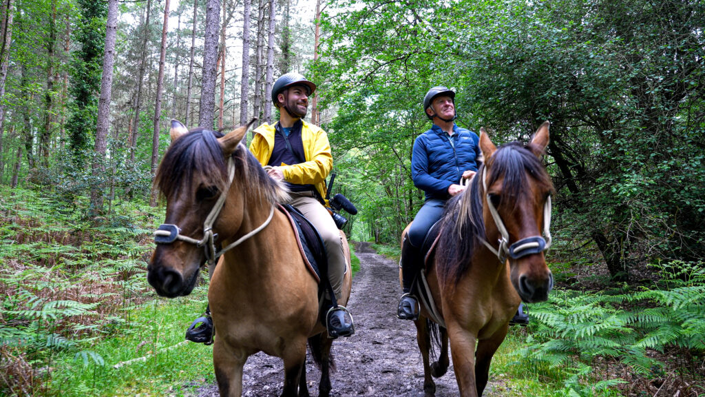 cheval avec Bost en foret espace henson Fontainebleau cTortugavideos