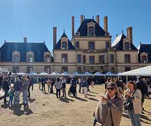 festival du gout de seine et marne