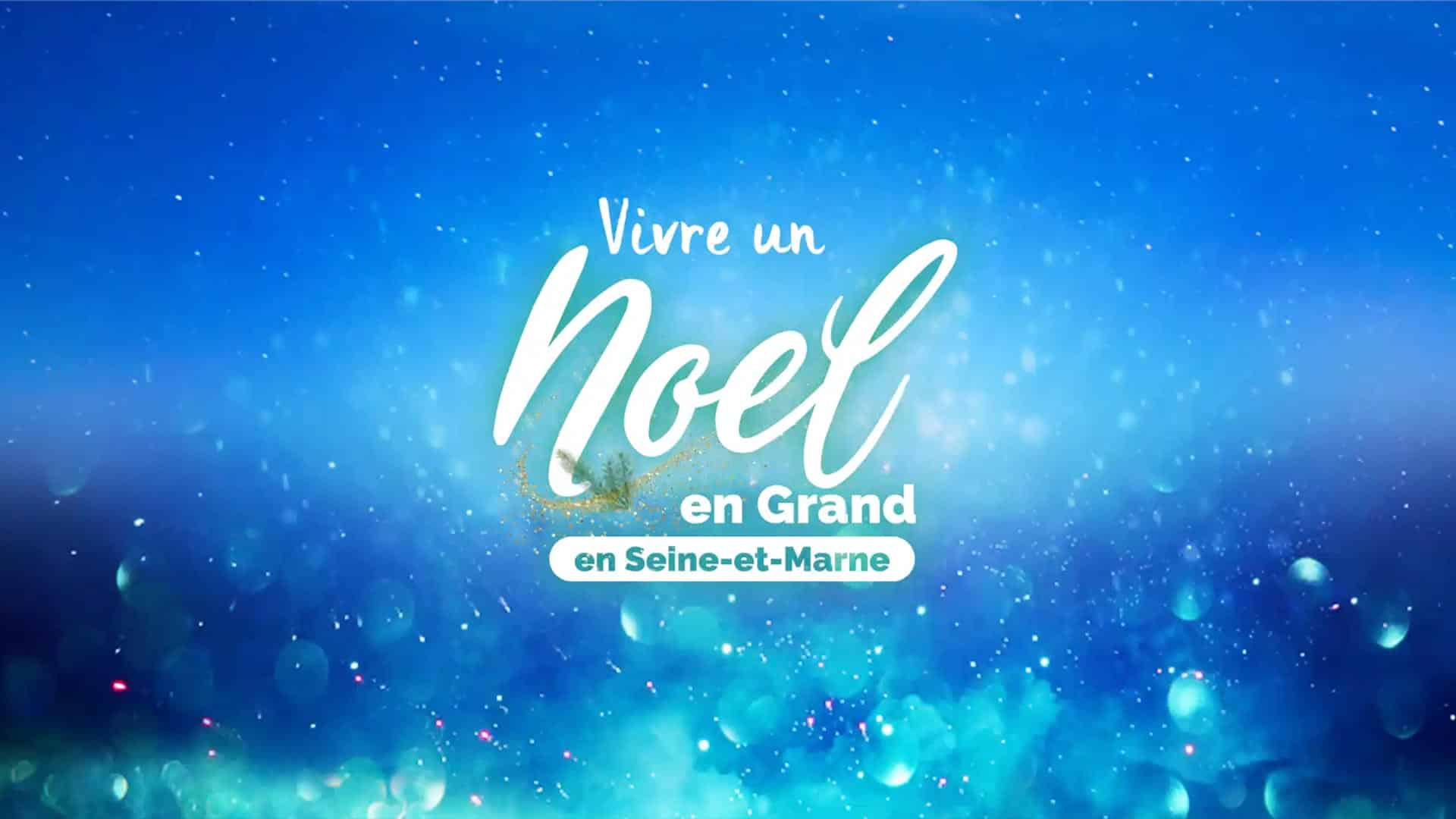 Retour sur la campagne SMA « Vivre un Noël en Grand en Seine-et-Marne »